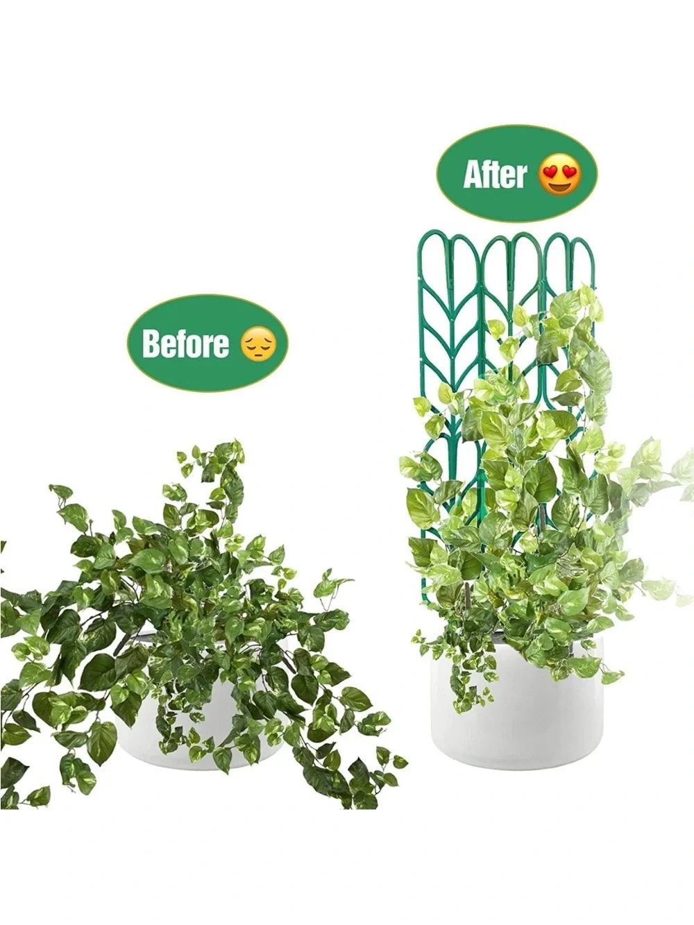 Green Plant Support Trellis for Indoor Vines - Unbranded
